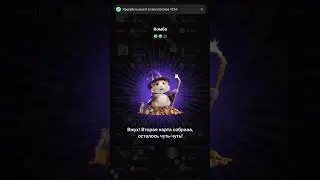 Сегодня! 6 - 7 июля Комбо в хомяке Hamster Kombat! Хамстер Комбат новое комбо!