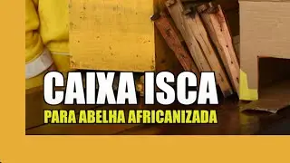 APICULTURA NA PRÁTICA - Caixa isca