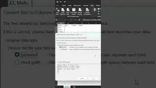 How to arrange delimited single column data to multiple columns in MS Excel