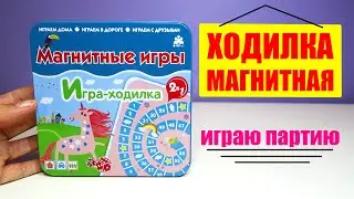 Магнитная игра 2 в 1 