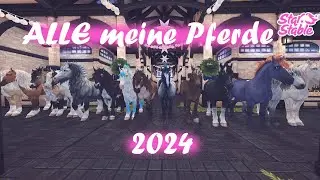 SSO 🦄 Alle meine Pferde 2024