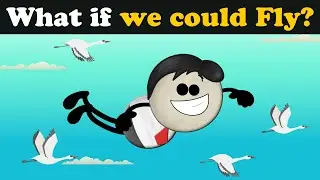 What if we could Fly? + more videos | 