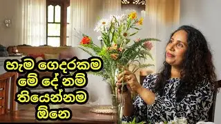හැම ගෙදරකම මේ දේ නම් තියෙන්න ඕනෙ | Home Decoration and Organizing with Dove Greens