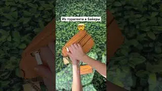 Иммиграция всегда стимулирует пробовать себя в новых профессиях, согласны?