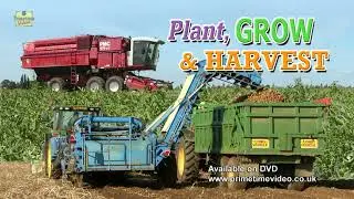 Plant Grow & Harvest