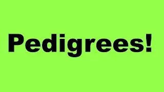 Pedigrees!