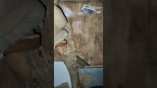 Анекдот про по жизни не напрягаюсь