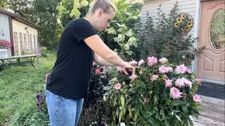 Container Maintenance & Surprise Hornet Nest! Simply Bloom