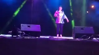 Это лето...Пир на весь мир. Чаплыгин 2017.