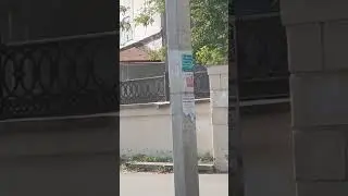 Объявления ✍️ РАБОЧИХ ДОМОВ👉 на столбах Костромы #2024