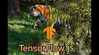TensorFlow.js - RGB channels to Red-Green Color Blind