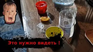 Такого ты не видел! Как открывается бутылка Арака! Очень интересно!