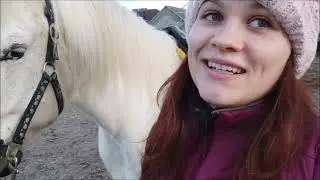 Vlog 40 Dzień dobry! Czy znajdę tutaj siodło?