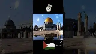 #freepalestine