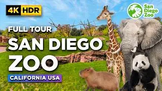 Full Tour of SAN DIEGO ZOO | All Attractions at America's Most Visited Zoo | California USA