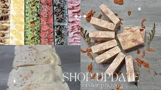 Small Business Vlog/Shop Update and Pack Orders With Me
