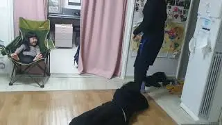 아이스크림하고 초코렛 먹고 싶을때