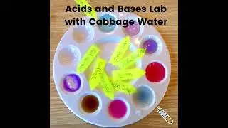 Acids and Bases with Cabbage Juice