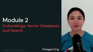 LLM Module 2 - Embeddings, Vector Databases, and Search | 2.2 Module Overview