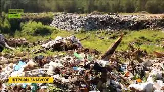 Штрафы за мусор
