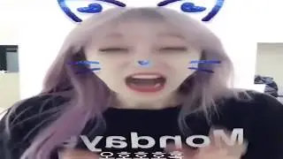 여자연예인들 콰이(kwai)어플 영상 모음(아이유, 모모, 설리, 경리, 수지, 윤아, 설현 등등)