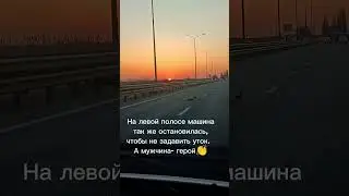 Спасение уток на дороге