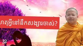ហេតុអ្វីនៅតែនឹកសង្សារចាស់, San Sochea, Dharma