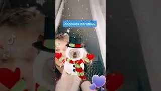 Милое видео с котёнком из тиктока невская маскарадная порода #невскаямаскарадная #тикток #tiktok