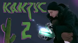 Кактус | 2 СЕРИЯ | раскопки кактуса