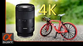 Tamron 28-75mm f/2.8 + Sony a7RIII Video AutoFocus Test