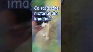 7 septembrie 2024