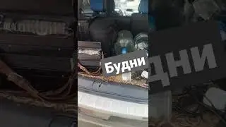 ремонт баянов аккордеонов гармоней89031079129 физгармоник