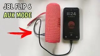 How to Connect Your JBL FLIP 6 to Your Phone using AUX Mode