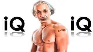 Я прохожу тест на интеллект. Быстрый ТЕСТ на IQ