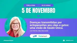 Doenças transmitidas por ectoparasitas aos cães e gatos: uma visão de Saúde Única