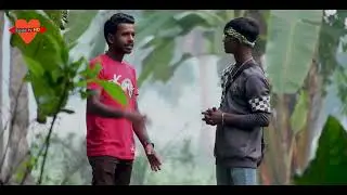 shadubaba | love tv hd