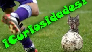 [Curiosidades] Noticias curiosas 2015 [Loquendo] Enero - Febrero