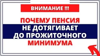 Почему пенсия не дотягивает до прожиточного минимума, как прожить на такие деньги?