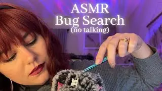 ASMR BUGS (no talking) | Chill Bugs | Bug search | ASMR bug search