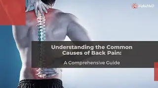 Understanding the Common Causes of Back Pain: A Comprehensive Guide