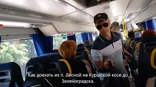 Как доехать из п. Лесной на Куршской косе до Зеленоградска.