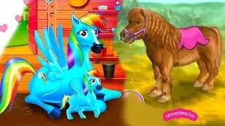 Online Horse Games -Thank You 50,000 Subbies