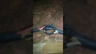 Funny Electrical Short with "My Nephew Thomas" audio #electrician #electrical #humor