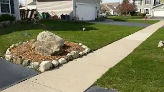 Running Ducks!