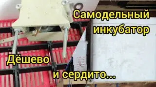 Самодельный инкубатор 'По бомжу'