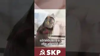 Plugga Marxism på folkhögskola? #shorts #ad #marxism #socialism #kommunism #sverige #svenska