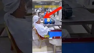 بهترین شغل دنیا ❤️ 😎 