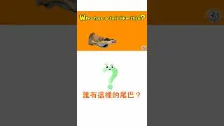 Can You Guess the Animal?動物尾巴猜猜看