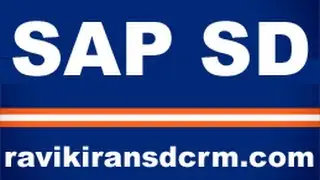 SAP SD Demo - SAP SD Enterprise Structure2