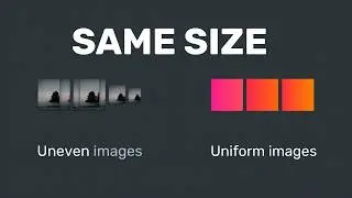 I Found a Simple Trick to Make All Pictures the Same Size in Word